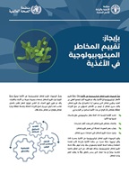 Arabic MRA brochure pub cover
