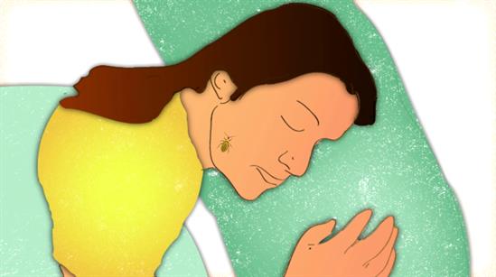 Chagas Disease-Life cycle of the parasite-ISGlobal