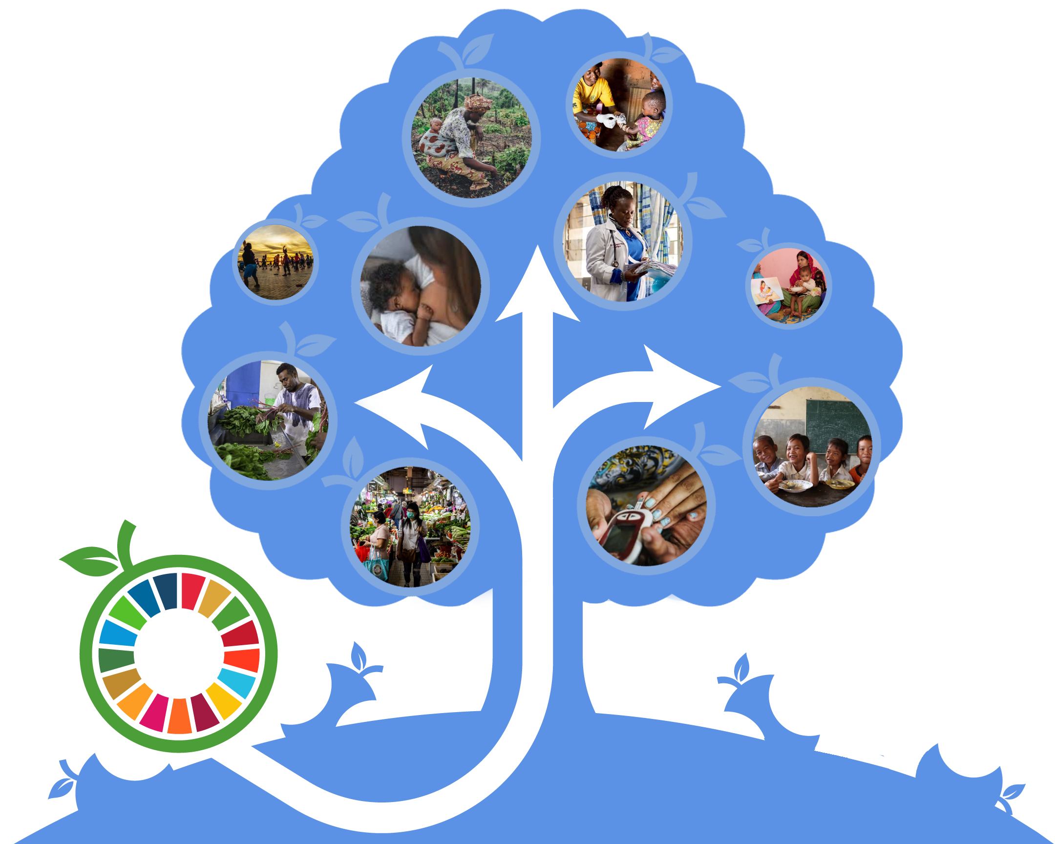 Food Systems Summit - Action tracks 2