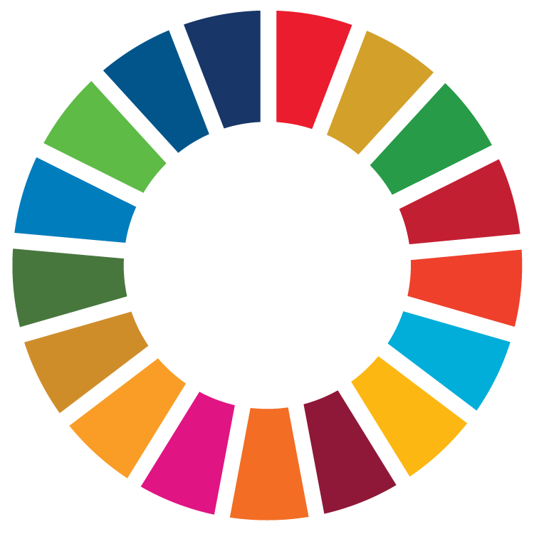 SDG Wheel_Transparent